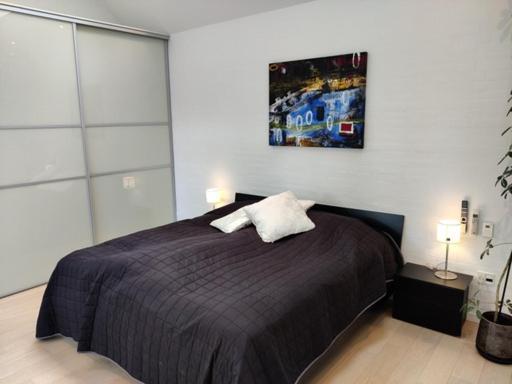 Vaerelser I Midtbyen - 117 M2 Apartment Herning Dış mekan fotoğraf